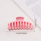 Beau - Pastel Large Hair Claw Clip