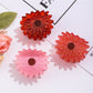 Beau - Chic Daisy Shaped Hair Claw Clip