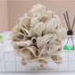 Papo - Cartoon Turtle Bath Puff Large Soft Foaming
