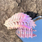 Beau - Gradient Plastic Flower Design Claw Clip