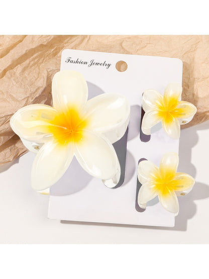 Beau - Gradient Frangipani Hair Clips Set