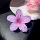 Beau - Bright Flower Shaped Glossy Claw Clip