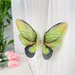 Beau butterfly hair claw clip angled to show thickness and clasp detail