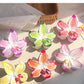 Beau - Colorful Egg Flower Hair Clip