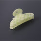 Beau - Modern Simple Plaid PVC Hair Claw Clip