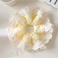 Gifty scrunchie packaged in a simple white box with branding visible