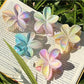 Beau - Ombre Floral Claw Clip