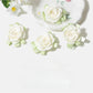 Beau - Elegant Camellia Shaped Hair Clips