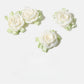 Beau - Elegant Camellia Shaped Hair Clips