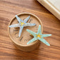 Beau - The Adorable Starfish Shaped Hair Clip