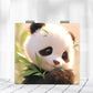 Mirroray - Cute Panda Portable Folding Makeup Mirror