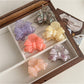 Beau - Glossy Bow Shape Acetate Fiber Claw Clip
