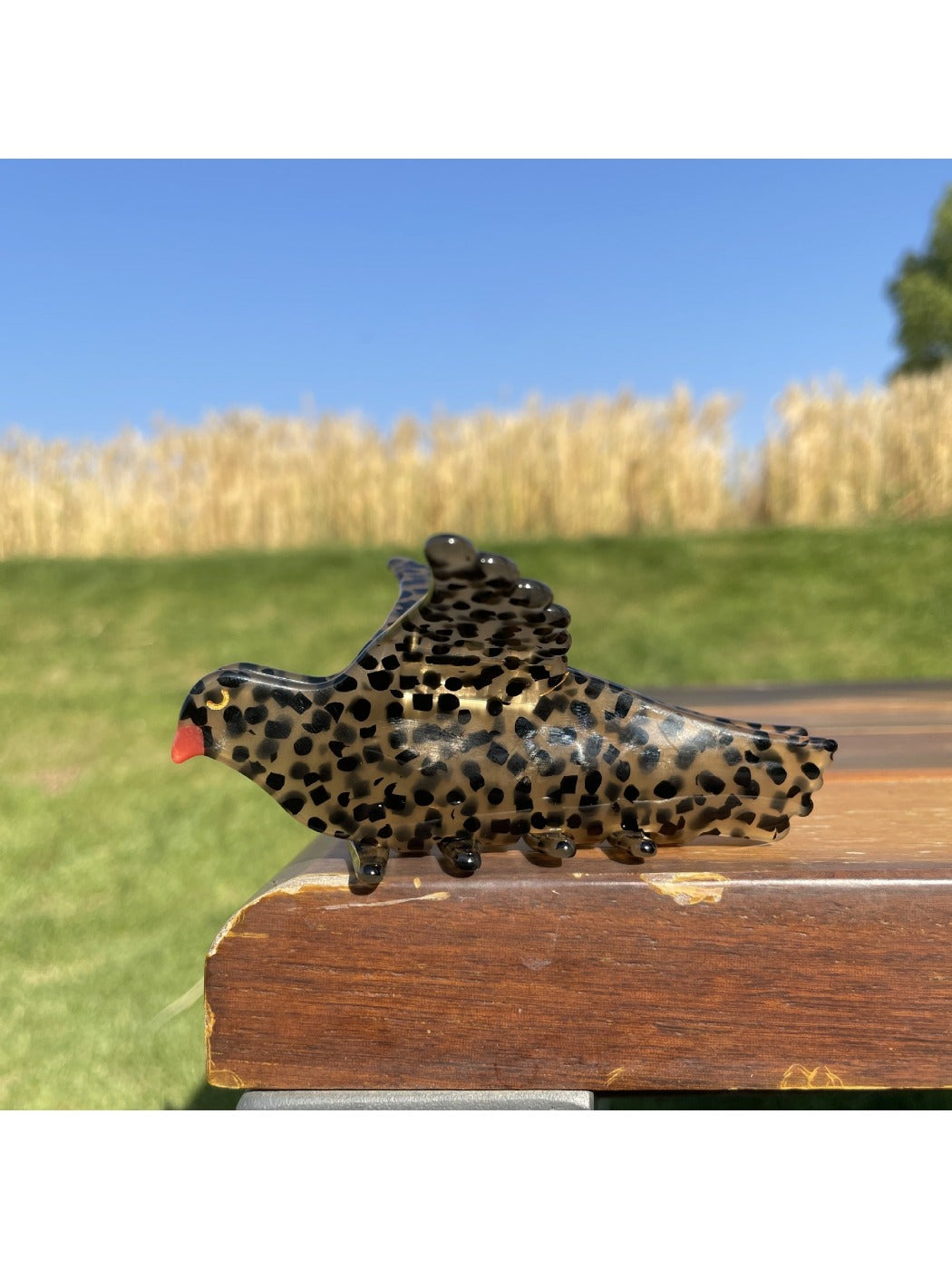 Beau - Bird Acetate Claw Clip