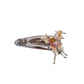 Beau - Decorative Butterfly Accent Hair Clip