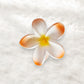 Beau - Sweet Style Five Petal Flower Hair Claw Clip