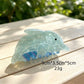 Beau - Ocean Animal Shape Acrylic Claw Clip
