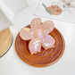 Beau - Minimalist Iridescent Hair Clip