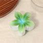 Beau - Sweet Gradient Floral Claw Clip