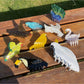 Beau - Bird Acetate Claw Clip