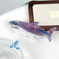 Beau shark hair claw clip shown from above with open jaws and teeth visible