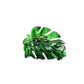 Beau - Leaf Acetate Hair Clip