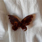 Beau - Dimensional Butterfly Acetate Hair Clip