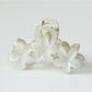 Beau - Transparent Floral Plastic Claw Hair Clip