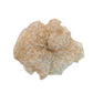 Gifty - Soft Floral Print Polyester Mesh Scrunchie