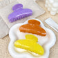 Beau - Flower Pattern Acetate Fiber Hair Claw Clip