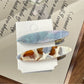Beau - Spring Summer Ombre Hair Clips Set