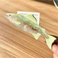 Beau salmon shaped hair claw clip with smooth glossy finish