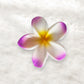 Beau - Sweet Style Five Petal Flower Hair Claw Clip