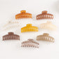 Beau - Jelly Color Claw Clip