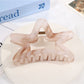 Beau - Iridescent Translucent Star Shape Claw Clip