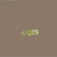 Beau - Plastic Alloy Bear Hair Barrette Clip