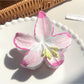 Beau - Colorful Egg Flower Hair Clip
