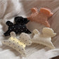 Beau polka dot puppy shaped hair clip with black and white spots on a white background