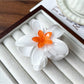 Beau - Glossy Flower Shape Plastic Alloy Claw Clip
