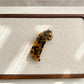 Beau - Cute Leopard Hair Clip