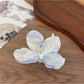 Beau acetate moth orchid claw clip photographed with soft natural lighting