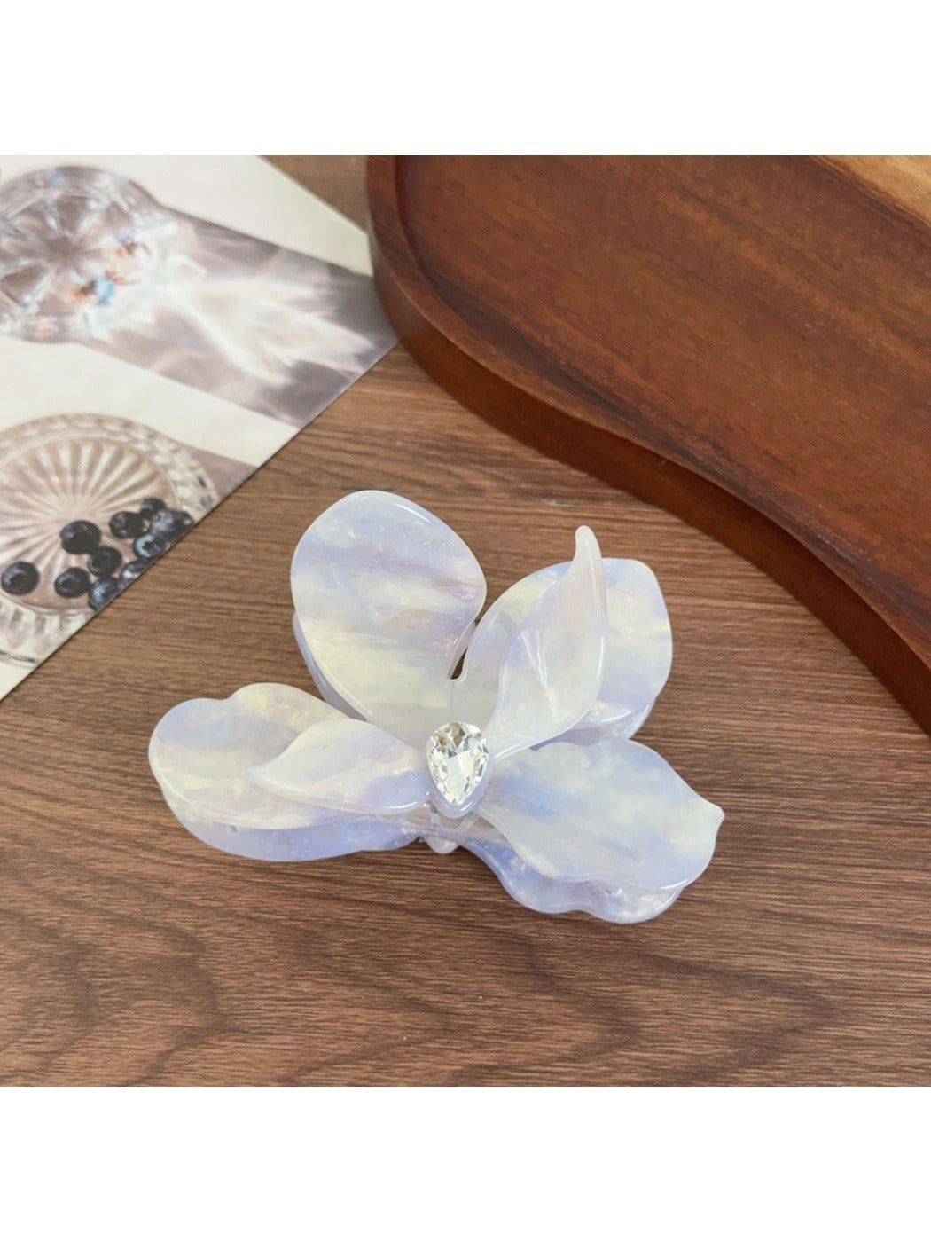 Beau acetate moth orchid claw clip photographed with soft natural lighting