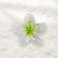 Beau - Vogue Sweet Style Transparent Flower Hair Claw Clip