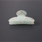 Beau - Modern Simple Plaid PVC Hair Claw Clip