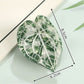 Beau - Plant Shaped Acetate Hair Clip