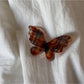 Beau - Dimensional Butterfly Acetate Hair Clip