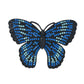 Brovia - Butterfly Dotted Wing Brooch