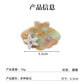 海洋系列花朵贝壳醋酸发夹清新夏日侧边夹高级感精致刘海夹发饰女