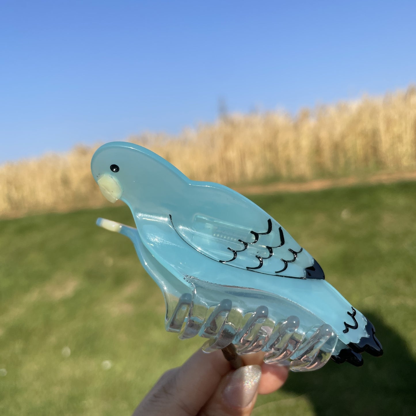 Bird Acetate Hair Claw Clip