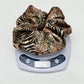 Gifty - Leopard Print Satin Scrunchie