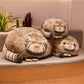 Kuta - Fierce Cute Pallas Cat Plush Pillow